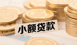 成都郫都区哪里有小额贷款-成都郫都区身份证贷款平台-成都郫都区民间短借