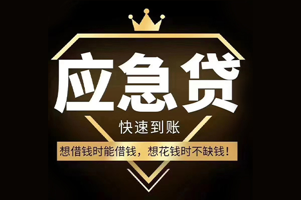 成都郫都区本地私借